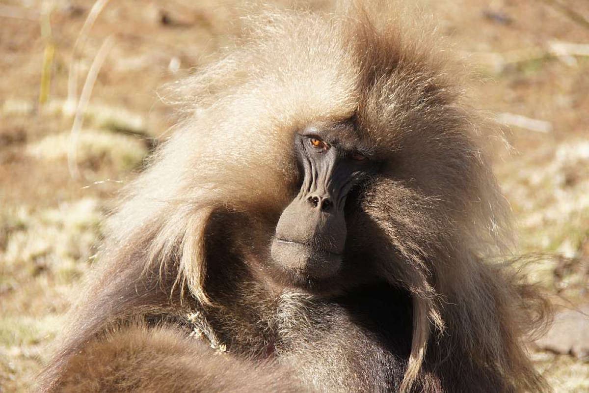 Äthiopien Privatrundreise historische Route und Omo Valley