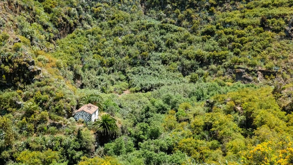 Gran Canaria_mit_Andre_und_Klüger_Reisen Gran Canaria_Andre_wandern_Klüger_Reisen