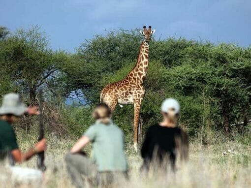 Tansania: Nachhaltige Walking Safari 6 Tage