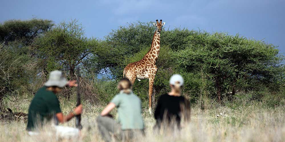 Tansania_Walking_Safari_Klueger_Reisen