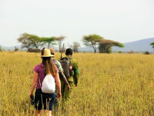 Tansania: Nachhaltige Walking Safari 10 Tage