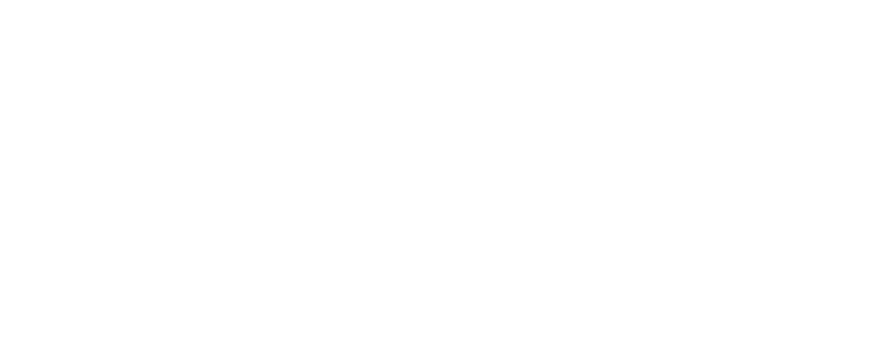 WELTWACH